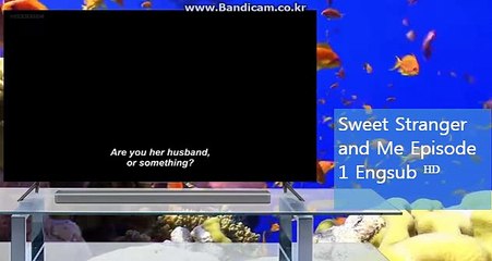 사설사이트제작 ,사설사이트업체,사설사이트판매,사설사이트가격,사설사이트임대 카톡,스카이프haricuty