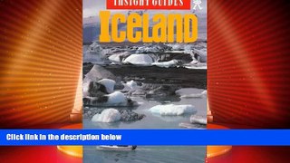 Big Deals  Insight Guide Iceland  Best Seller Books Most Wanted