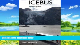 Books to Read  Icebus  Full Ebooks Best Seller