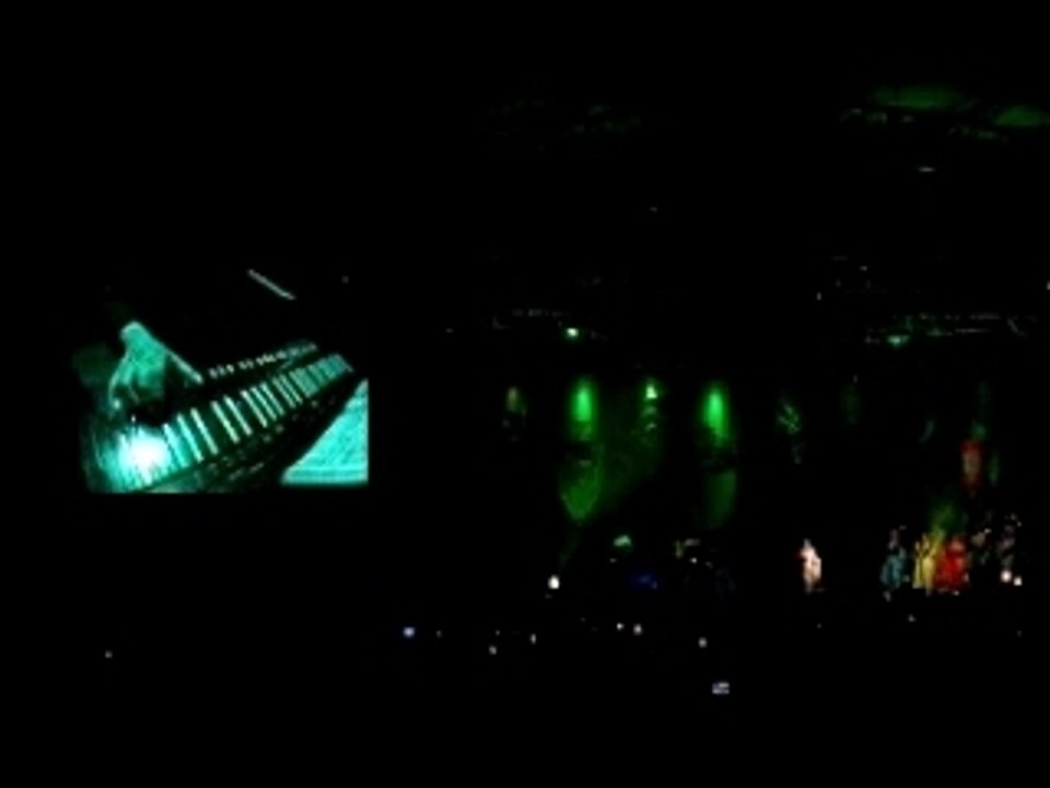 Bjork Rock en Seine 2007 (4)