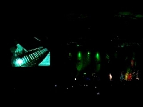 Bjork Rock en Seine 2007 (4)