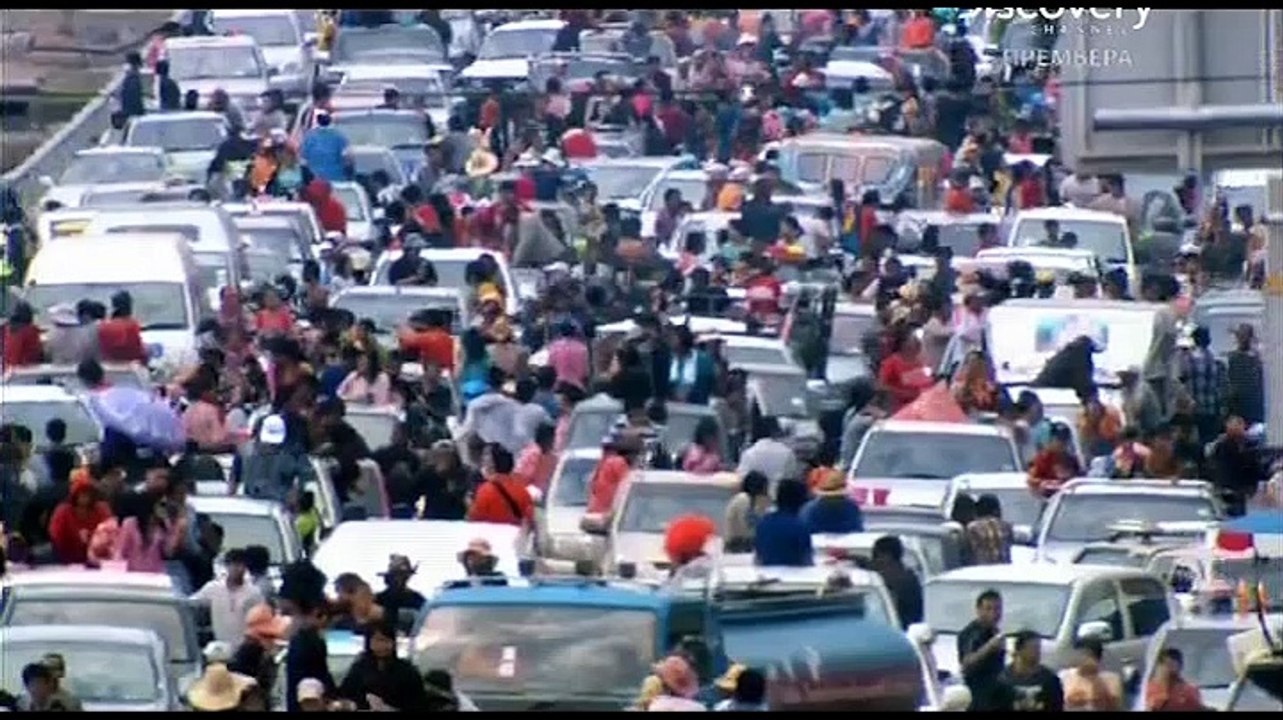 Эпизод 03. Заплыв с дельфинами