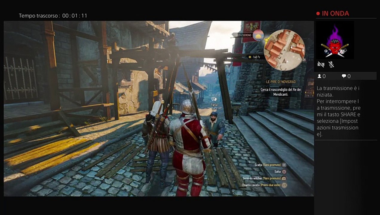 The witcher 3
