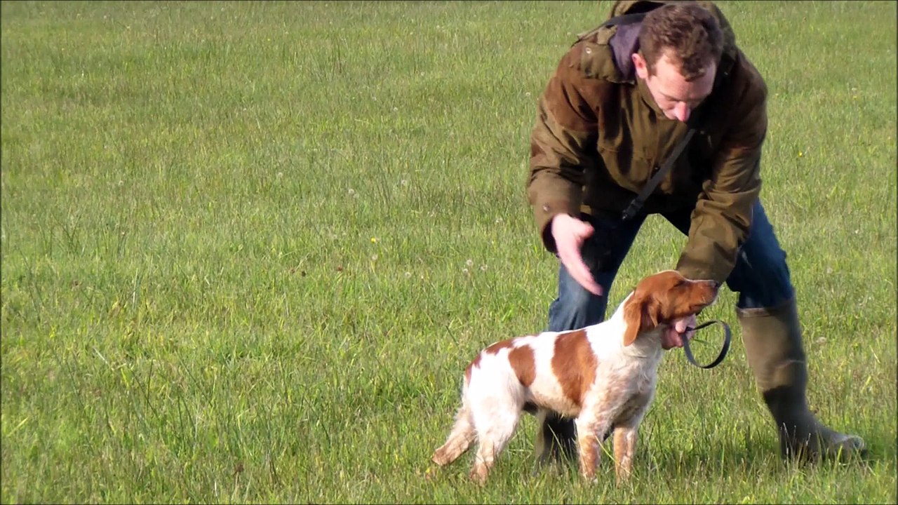 Milan 5 mois 1er contact avec le marais