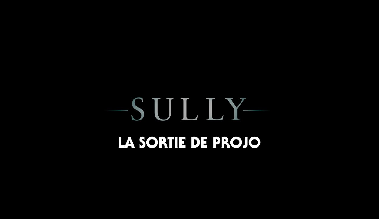 La Sortie de Projo : Sully