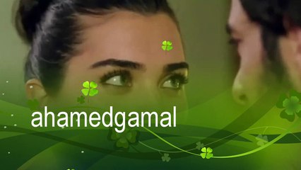 اغنية رومانسية سيبنى اموت فيك عمر واليف