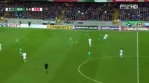 Mario Mandzukic (Croatia) goal against Northern Ireland (0-1)