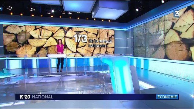 Préservation des forêts : comment sont-elles protégées en France ?