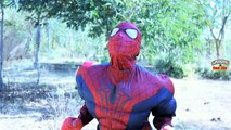 Fun SuperHero Games In Real Life | Spiderman Hulk Hide And Seek Game Compilation | Funny SuperHeroes