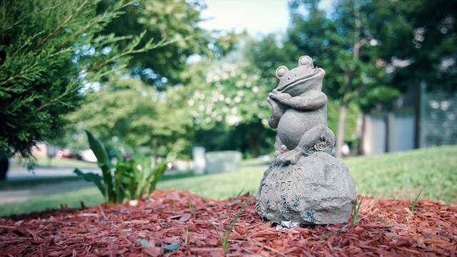 National Adoption Day Brings Families Together for 17th Year | Dave Thomas Foundation for Adoption