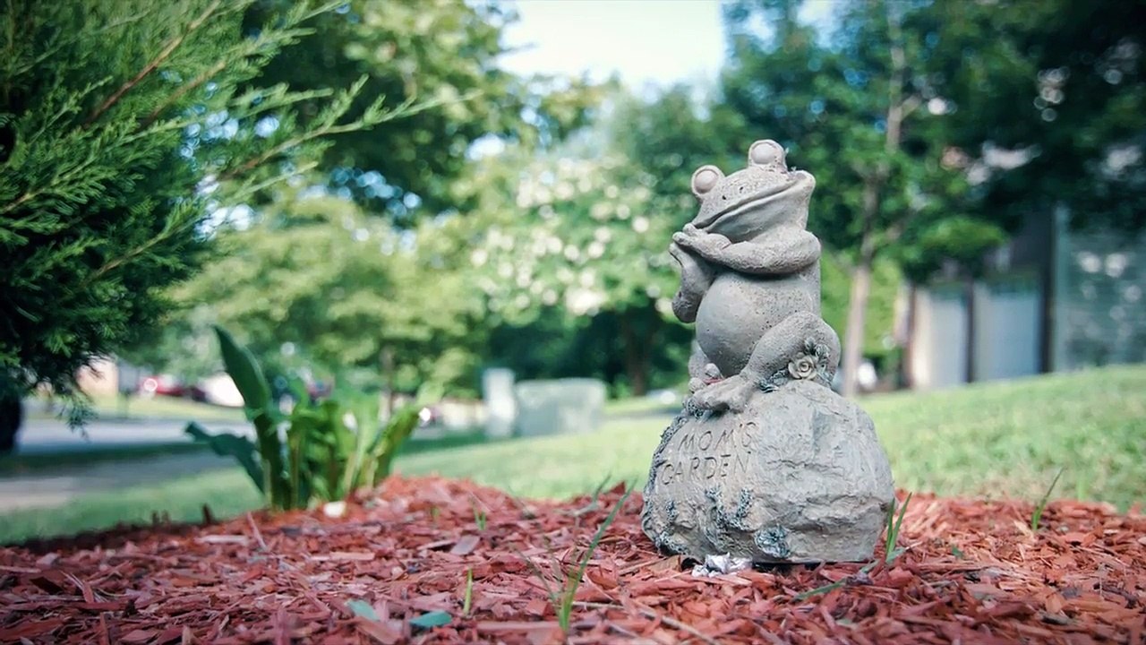 National Adoption Day Brings Families Together for 17th Year | Dave Thomas Foundation for Adoption