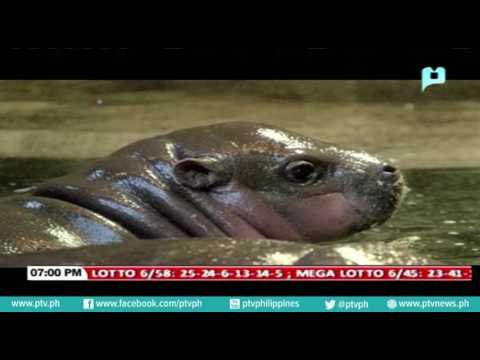 25 patay habang 30 sugatan sa nangyaring suicide bombing sa isang Mosque sa Pakistan