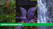Deals in Books  Wildflowers of Shenandoah National Park: A Pocket Field Guide (Wildflowers in the