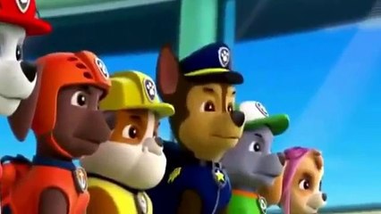 Animation Movies For Kids ♡♡ Pups and the Beanstalk Pups Save the Turbots