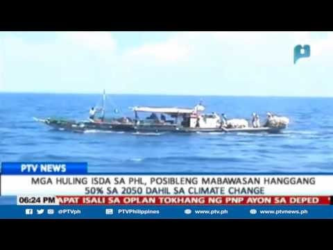 Mga huling isda sa bansa, posibleng mabawasan hanggang 50% sa 2050 dahil sa climate change