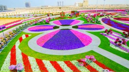 Dubai Miracle Garden Full View - The Worlds Biggest Natural Flower Garden - Must Watch