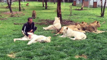 Un léopard "attaque" un homme, mais ce qui se produit ensuite est hallucinant!