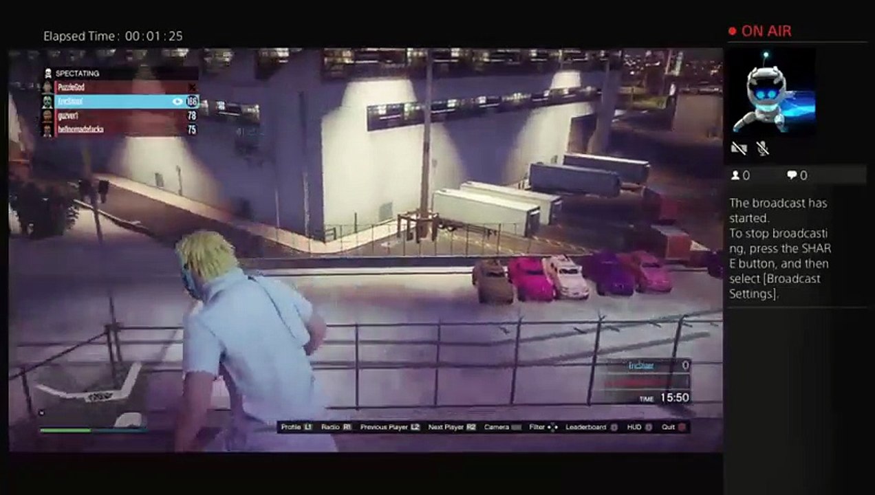 Gta 5 (11)
