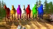 Color Song | Horse Rhymes For Children | Colours Song For Children | 3D Horse Colours Songs