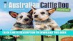 [PDF] Australian Cattle Dog Puppies 2016 Mini 7x7 (Multilingual Edition) Popular Collection