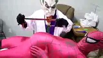 Pink Spidergirl Pregnant vs Doctor vs Joker vs Blue Spiderman vs Spiderman vs Merida Superhero movie