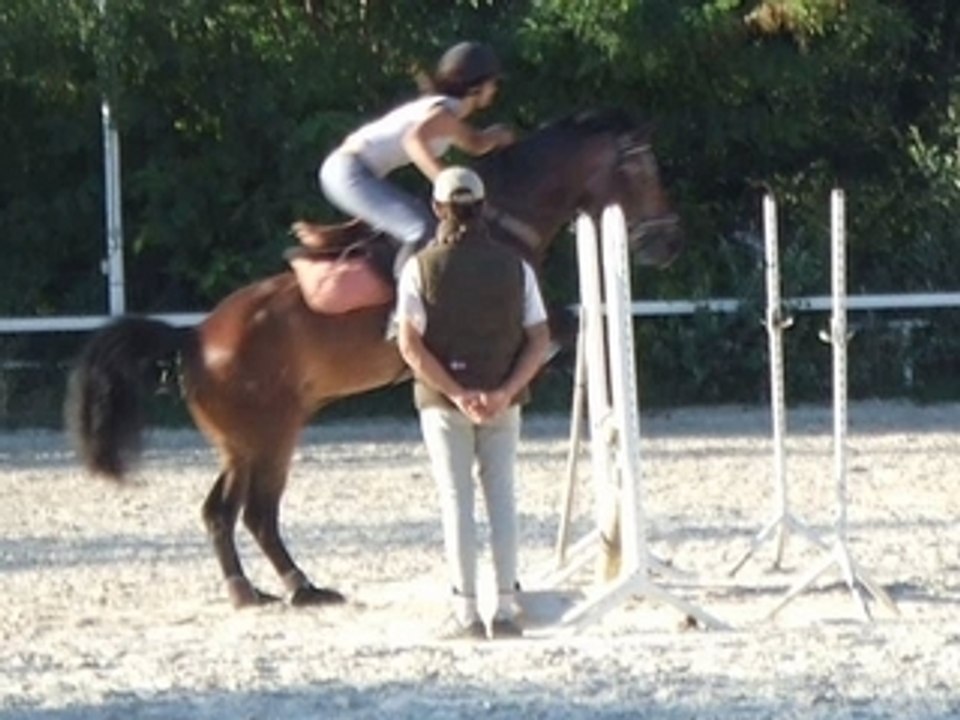 Jumper_0003