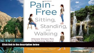 Best Buy Deals  Pain-Free Sitting, Standing, and Walking: Alleviate Chronic Pain by Relearning
