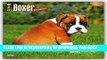 Ebook Boxer Puppies 2016 Square 12x12 Free Read