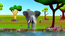 Elephant Lion And Tiger Cartoons Singing Finger Family Nursery Rhymes For Children