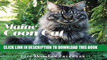 Best Seller 2016 Maine Coon Cat Down East Wall Calendar Free Download