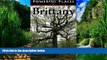 Best Buy Deals  Powerful Places in Brittany  Best Seller Books Most Wanted