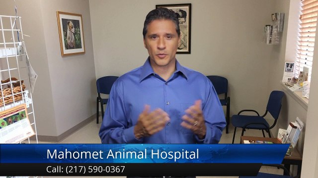 Mahomet Animal Hospital MahometSuperb5 Star Review by Julie D.[Local Veterinarian] [Veterinarian in Mahomet|Vet in Mahomet]