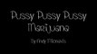 Andy Milonakis - Pussy Pussy Pussy Marijuana (Official Lyric Video)
