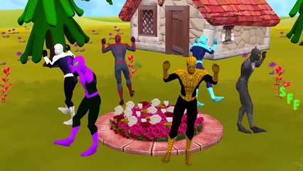 Spiderman Vs Venom Finger Family Songs | Blue Spiderman Vs Venom Fight Battle | Finger Family Rhymes