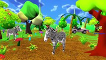 Animals Sounds For Kids And Children | Learning Zoo Animals Sounds For Children And Babies