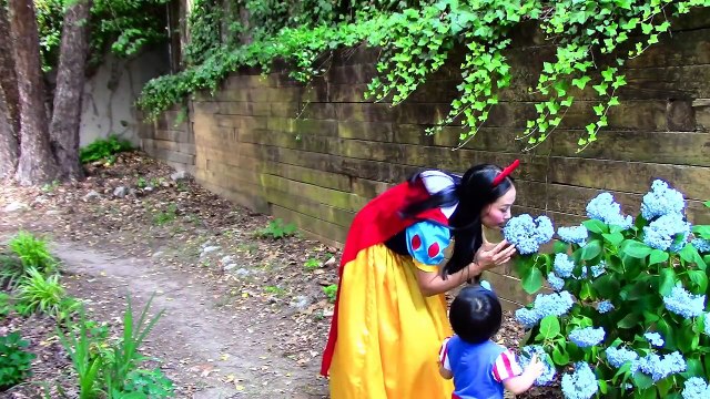 Snow White's baby becomes Catbaby- Spiderman & Snow White vs Catwoman funny superhero video