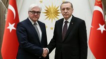 Almanya Dışişleri Bakanı Steinmeier Cumhurbaşkanı Erdoğan tarafından kabul edildi