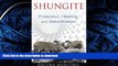 EBOOK ONLINE  Shungite: Protection, Healing, and Detoxification  GET PDF