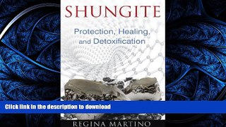 EBOOK ONLINE  Shungite: Protection, Healing, and Detoxification  GET PDF