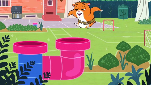 The ZhuZhus Moments - Lets Zhu This!