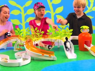 Zhu Zhu Pets Wild Bunch