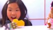 Zhu Zhu Pets Fall 2010 Commercial - Pampered Hamsters!