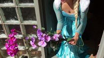 FROZEN ELSA LOSES HER NOSE! w/ Spiderman, Pink Spidergirl, Hulk, Maleficent, Rapunzel & Joker Candy