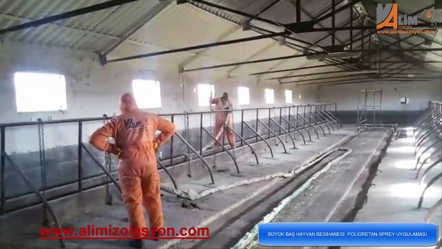 BÜYÜK BAŞ HAYVAN BESİ HANESİ ALİM İZOLASYON 0532 293 9299