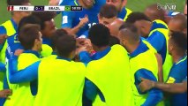 Peru vs Brazil Highlights