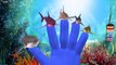 Shark Finger Family Rhymes | Sea Animals Finger Family Children Nursery Rhymes | Kids Songs