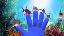 Shark Finger Family Rhymes | Sea Animals Finger Family Children Nursery Rhymes | Kids Songs