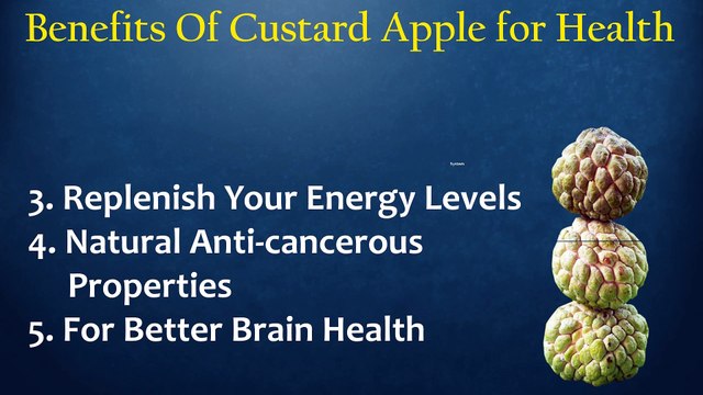 Surprising Health Benefits And Uses Of Custard Apples _ Health Tips In English