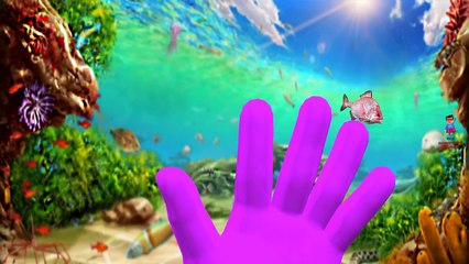 Wild Animals Finger Family Lion Tiger Elephant And Many More Children Nursery Rhymes Compilation