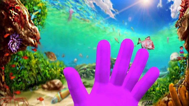 Wild Animals Finger Family Lion Tiger Elephant And Many More Children Nursery Rhymes Compilation